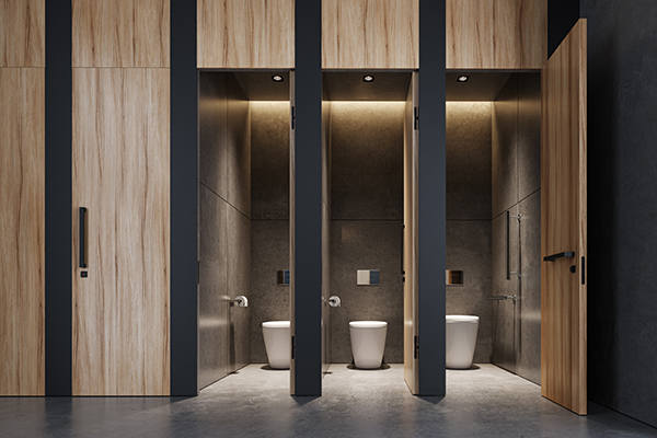 Accessibility & Inclusivity in Bathroom and Washroom Design: Balancing Aesthetics with Functionality