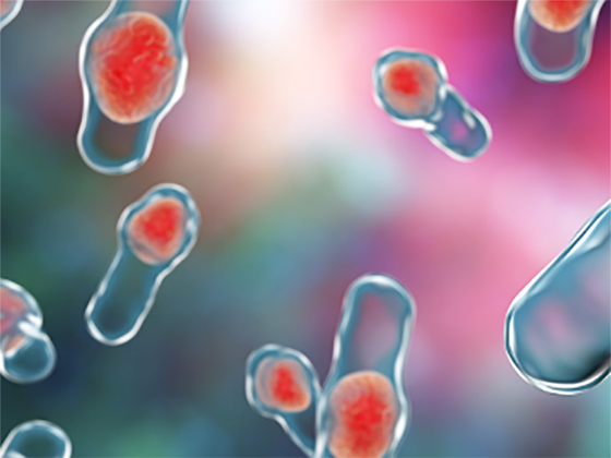 Installing Safe Healthcare Water - Competency Equals Knowledge