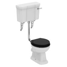 Waverley high level/low level toilet bowl with horizontal outlet